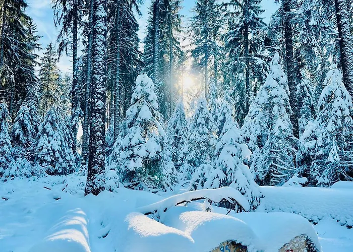 Апартаменты Haus Alpenblick Ленцкирх